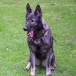 Ilka-2010-08-25-