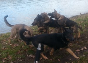 Even, Jolanthe, Xita, Leopold und Lieselotta