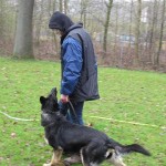 Unterordnung 09.04.2012